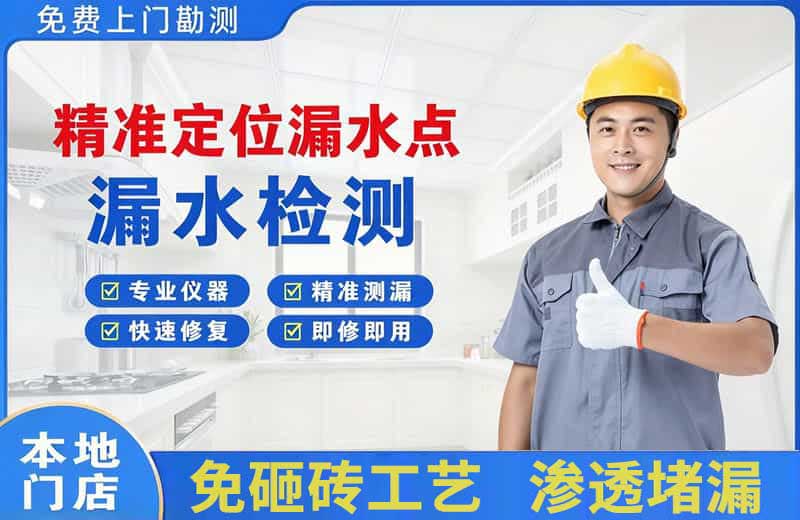 前进精准测漏点